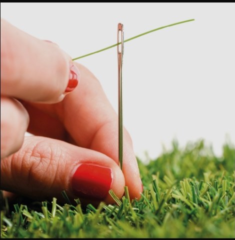 Case study ITALGRASS